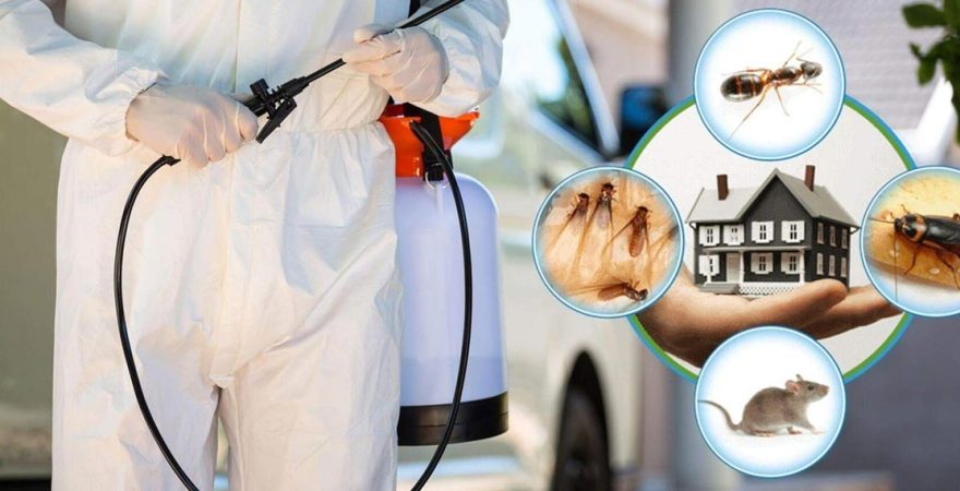 Altıevler Böcek İlaçlama