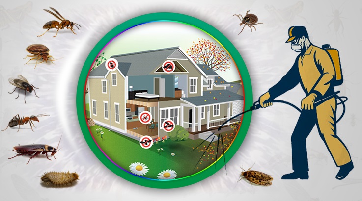 Altıevler Böcek İlaçlama