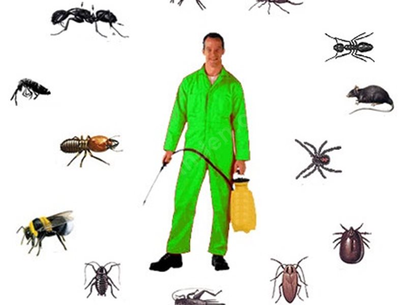 Altıevler Böcek İlaçlama